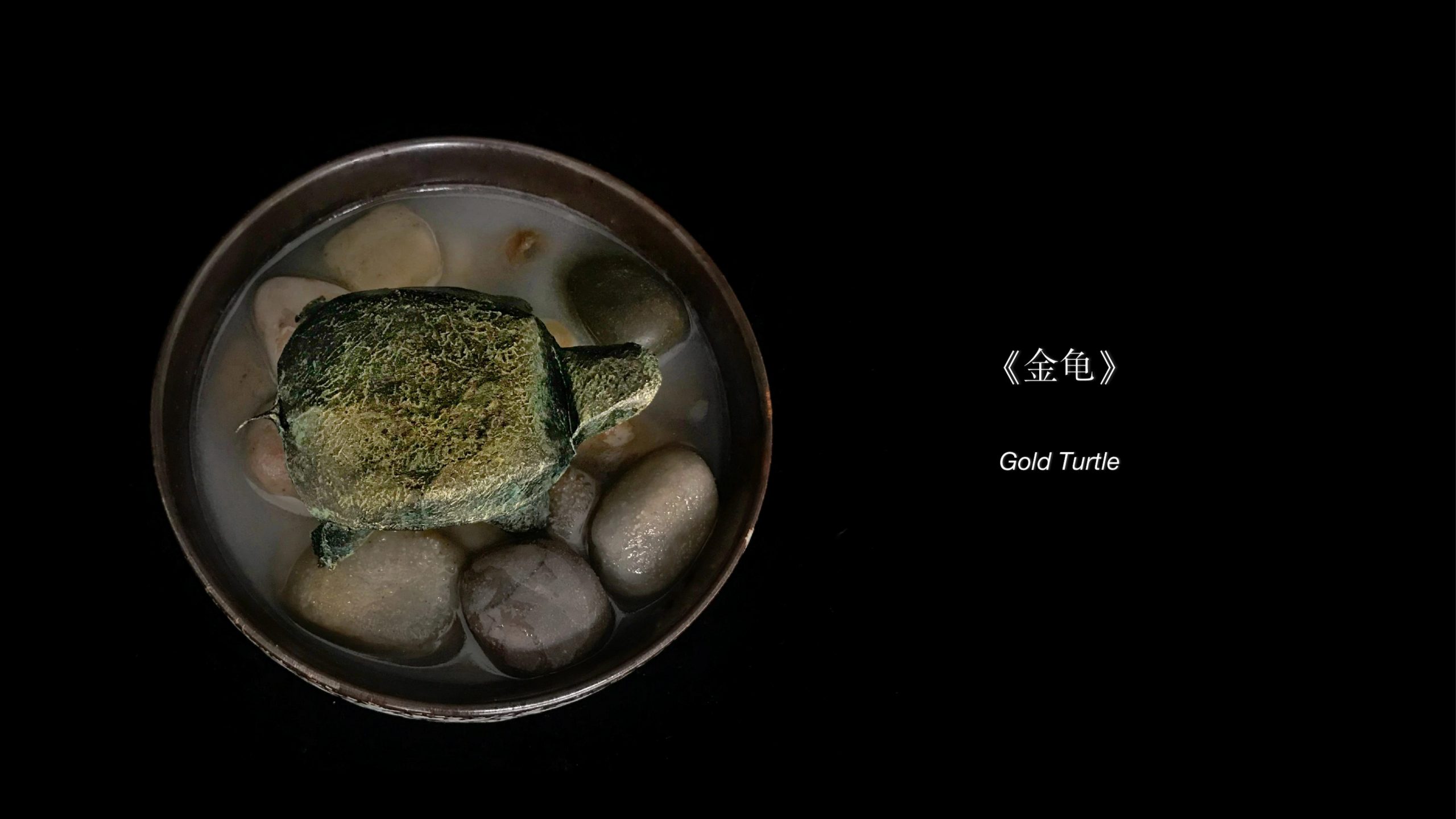 돌이 담긴 둥근 그릇 위에 배치한 금빛 거북이 종이접기 작품 Gold Turtle